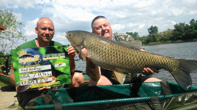 1.ročník King of Koi 2 (jarné kolo)-výsledky po 32hod