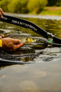 Zfish Podběrák Landing Net DLX 160cm