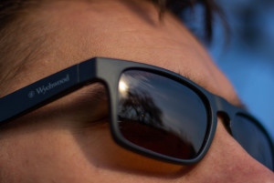 Sluneční brýle Wychwood Profile Brown lens