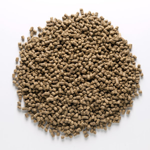 Rapid pelety - Turbo (1kg | 4mm)