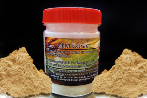 DUDI BAIT GLM extrakt 100g