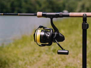 Delphin MAGIX 5T DP