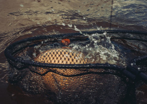 Giants fishing Podběrák Deluxe Landing Net Rubber X-Large 90x85cm (2x rukojeť)