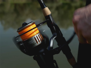 Delphin BINGO 5T DP